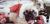 Karácsonyi ágynemű 7 részes szett, francia bulldog ágyneműhuzat